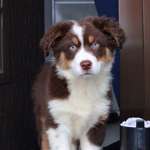 Ersteller:in Alessia Profilbild