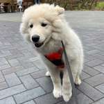 Ersteller:in Lara Profilbild