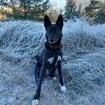 Ersteller:in Lara Profilbild