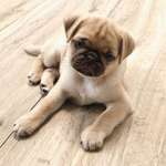 Ersteller:in Melina Profilbild