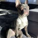 Ersteller:in Jana Profilbild