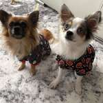 Ersteller:in Björn Profilbild