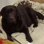 Ersteller:in Rita Profilbild