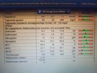 Pankreatitis und verdicke Darmschlingen, aber Medikamente schlagen nicht an-Beitrag-Bild