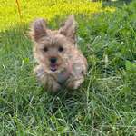 Ersteller:in Vanessa Profilbild