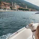 Ersteller:in Ina Profilbild