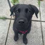 Ersteller:in Anna Profilbild