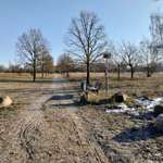 Hundeauslaufgebiet-Stendal-Bild