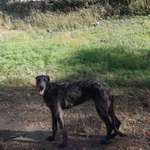 Ersteller:in Christel Profilbild