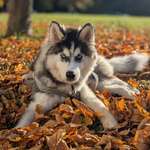 Ersteller:in Emilia Profilbild