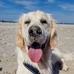 Ersteller:in Monja Profilbild