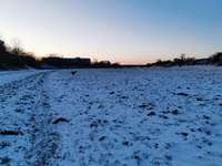 Hundeauslaufgebiet-Flutrinne-Bild