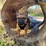 Ersteller:in Sarina Profilbild