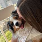 Ersteller:in Lara Profilbild