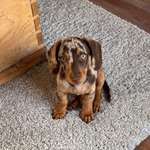 Ersteller:in Frieda Profilbild