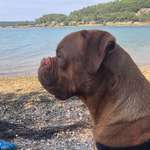 Ersteller:in Nicole Profilbild