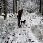 Ersteller:in Lara Profilbild