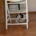 Ersteller:in Nico Profilbild