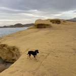 Ersteller:in Max Profilbild