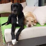 Ersteller:in Ricarda Profilbild