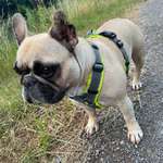 Ersteller:in Natalie Profilbild