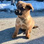 Ersteller:in Thomas Profilbild