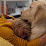 Ersteller:in Fabi Profilbild