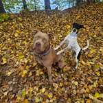 Ersteller:in Katja Profilbild