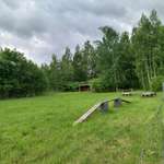 Hundeauslaufgebiet-Crossen-Bild