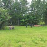 Hundeauslaufgebiet-Crossen-Bild