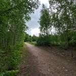 Hundeauslaufgebiet-Crossen-Bild