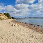 Hundestrand-Steilküste 23630 Sierksdorf-Bild