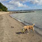 Hundestrand-Steilküste 23630 Sierksdorf-Bild