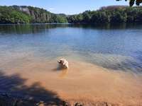 Hundeauslaufgebiet-Glörtalsperre-Bild