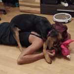 Ersteller:in Michaela Profilbild