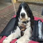 Ersteller:in Anja Profilbild