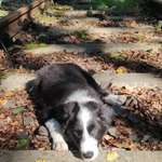 Ersteller:in Bernd & Silke Profilbild