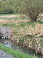 Hundeauslaufgebiet-Waldgebiet mit Hundeschule-Bild