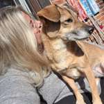 Ersteller:in Tara Profilbild