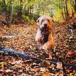 Ersteller:in Vivien Profilbild