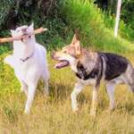 Ersteller:in Heidi Profilbild