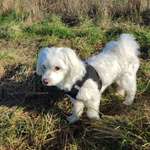 Ersteller:in Caro Profilbild