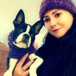 Ersteller:in VL Profilbild