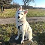 Ersteller:in Sina Profilbild