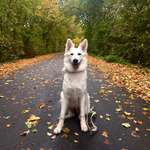 Ersteller:in Sina Profilbild