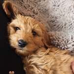 Ersteller:in Olivia Profilbild