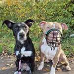 Ersteller:in Ella Profilbild