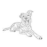 Hätte jemand Interesse an individuellen digitalen Lineart-Portraits?-Beitrag-Bild