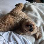 Ersteller:in MJam Profilbild