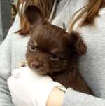 Ersteller:in Valentina Profilbild